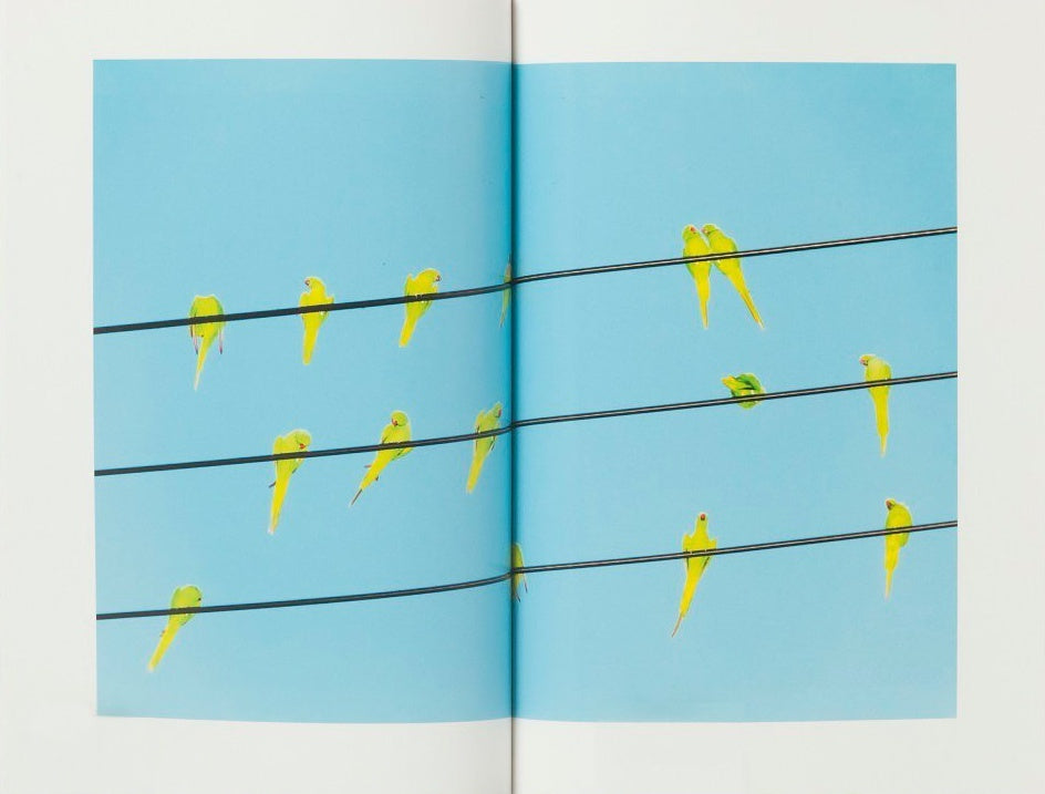 Yoshinori Mizutani)(水谷吉法)(Tokyo Parrots) – Humble Books