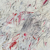 (Cy Twombly) (Bilder Paintings 1952-1976 Volume 1)